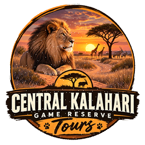 Central Kalahari Game Reserve Tours